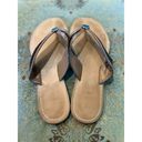 Tommy Hilfiger  faux leather tan and black thong sandals in size 8 Photo 1