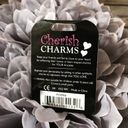Cherish  Charms ANDREA Name Bracelet Charm NEW NWT Silvertone Silver Tone Photo 1