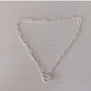 Madewell NWOT  silver chain and toggle necklace Photo 1