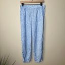 Aerie  Silky Animal Print Leopard Blue Pajama Lounging Bottoms Pants SZ M Photo 1