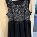 Rhapsody  Navy Blue & Gold Lace And Satin Fit and Flare Mini Dress size 3x Photo 0