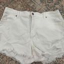 Aerie Shorts size large Photo 0