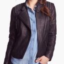 Bernardo  Lambskin Leather Jacket Black Petite XSP Photo 4