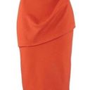 CAbi Overlay Pencil skirt size 10 Photo 5