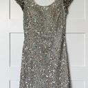 Boston Proper Champagne Sequin Dress Photo 0