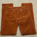 Patagonia  Women's Everyday Corduroy Pants Organic Size 28 / 6 Rust Orange/Brown Photo 1