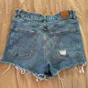 American Eagle Outfitters Shorts Photo 1