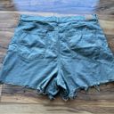 American Eagle American eagles  highest rise mom shorts 18 Photo 1