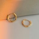 18K Gold Plated Twisted Gold Hoop Earrings for Women Photo 1