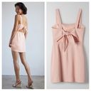 Wilfred Aritzia  Aperture Tie Back Mini Dress Square Neck in Petal Pink Size 6 Photo 2