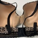 Felina  ANIMAL PRINT BRA Photo 10