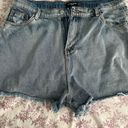 Pretty Little Thing High Waisted Denim Shorts Photo 0