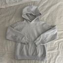 Aritzia TNA Perfect Hoodie Photo 0