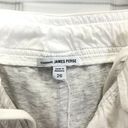 James Perse Standard  Women's White Lined Cropped Button Fly Pants Size 26 Photo 7