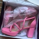 Windsor Pink Heels Photo 1