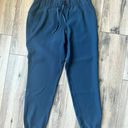 Lululemon Jogger Pants Photo 0