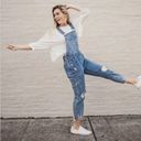 One Teaspoon ONE X  Hooligan Distressed Cropped Denim overalls size 28 Photo 13