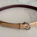 Coach Vintage  Calfskin Belt Style 8567 in Tan with Silver Tone Buckle Size Large Photo 8