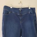 Lane Bryant  Dark Wash Hi-Rise Jegging Photo 1