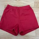 Aritzia Shorts Photo 0