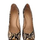 Kate Spade  Snake Print Leather Peeptoe Heels Size 6 Photo 1