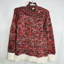 Philosophy  Multicolor Chunky Knit Sweater Turtleneck Large Photo 4