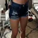 American Eagle Outfitters Shorts Photo 0