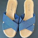 American Eagle  Flat Sandal. Size 7 Blue Photo 0