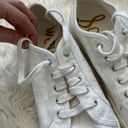 Sam Edelman  Genara Lace-up Sneakers Photo 5