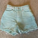 Urban Outfitters BDG Shorts Photo 0