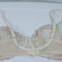 Felina  Cream Lace Embroidered Wired Bra 34D Photo 8