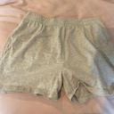 Brandy Melville / John Galt Sweatshorts Photo 1