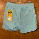 Carhartt Blue Shorts Photo 1