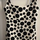 ZARA Polka Dot Dress Photo 0