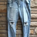 Torrid  Stovepipe Straight Classic Denim High-Rise Jean 12 short Photo 8