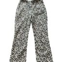 Tuckernuck  Women’s Cheetah Print Pants Elastic Waist Pull On Side Zip Medium Photo 0