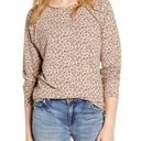 Caslon Nordstrom brand ‎ Leopard Print Long Sleeve Top size X-Small Photo 0