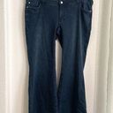 Pilcro  Women’s Jeans Denim Blue Flare Flared Stretch Cotton Blend Size 16 Photo 0