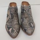 Dolcetta Dolce Vita  Animal Print Mules Size 6.5M Snake Print Python Slip On Rory Photo 1