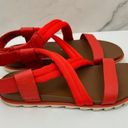 Sorel  Womens Roaming Deacon Sandals Size 8 Strappy Leather Red Orange Photo 2