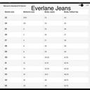 Everlane NWOT Sz 28 The Curvy ‘90s Cheeky Straight Jean 27" Crop Medium Wash Photo 8