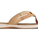 Sperry Ladies Sandals Photo 1