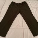 Orvis NWT  Brown Pull On Elastic Waist Tencel Pants, size XL Photo 0