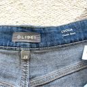 DL1961 Cecilia Classic Denim Shorts in Lambert Photo 7