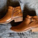 Baretraps Ankle Boots Photo 0