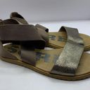 Sorel  Ella II Womens Size 6 Criss Cross Strapped Sandals  Ash Brown Photo 2