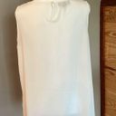 AB Studio  White Sheer Sleeveless Bow Georgette Top Large Photo 2