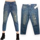 Wildfox NWT  DaVinci Relaxed Loose Baggy Paint Splatter Crop Boyfriend Jeans Photo 2