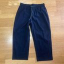 Athleta  Trekkie Ripstop Gorpcore Straight Leg Preppy Outdoor Hiking Pants 8P Photo 3