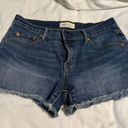 Gap 1969 Cut Off Jean Shorts Photo 1